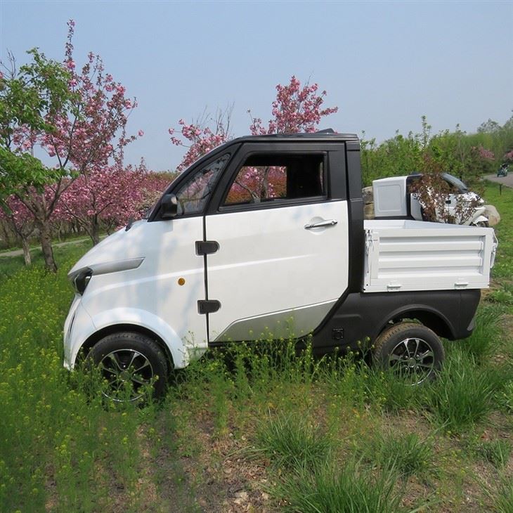 4-wheels Eec/coc Electric Logistics Car J2-C For Inner City Transportation