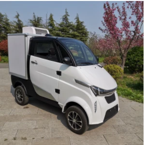 Mini Electric Refrigerated Logistics Truck Light-duty Delivery Van With EEC DOT For European And American Markets