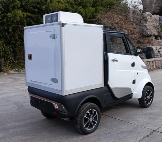 Mini Electric Refrigerated Logistics Truck Light-duty Delivery Van With EEC DOT For European And American Markets