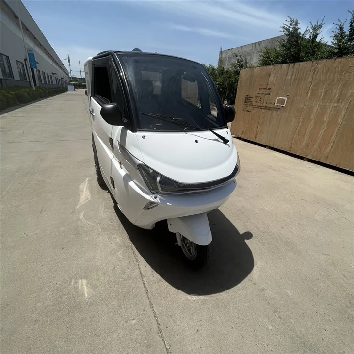 Three Wheels EtrikeCo Electrical Delivery Cargo Vehicle