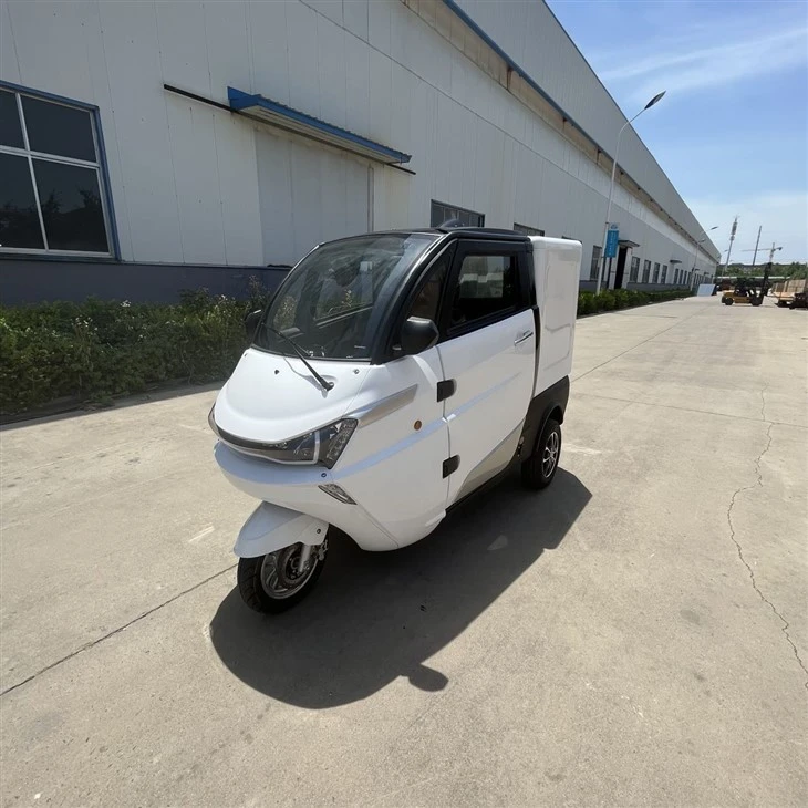 Three Wheels EtrikeCo Electrical Delivery Cargo Vehicle